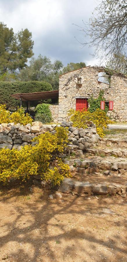 B&B L'Albatros Fayence Luaran gambar