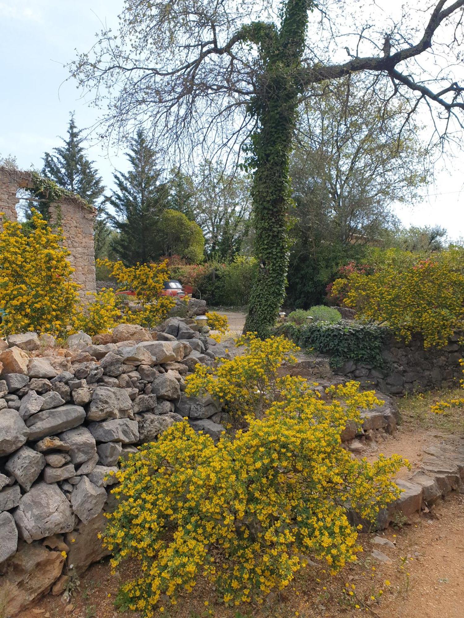 B&B L'Albatros Fayence Luaran gambar