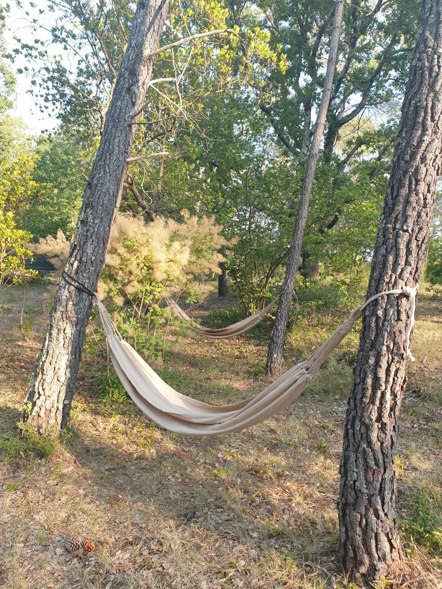 B&B L'Albatros Fayence Luaran gambar